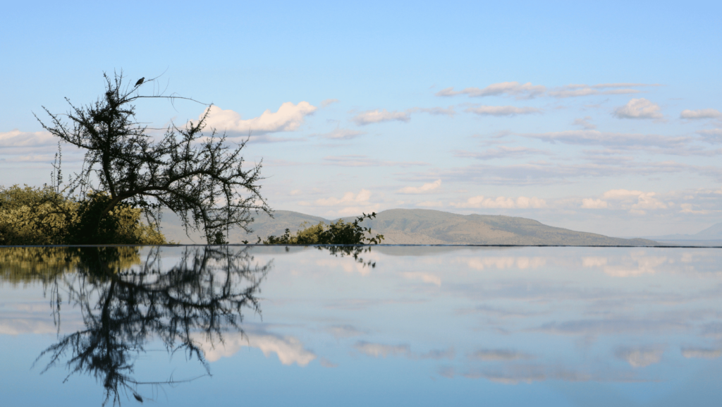 Jezioro Manyara