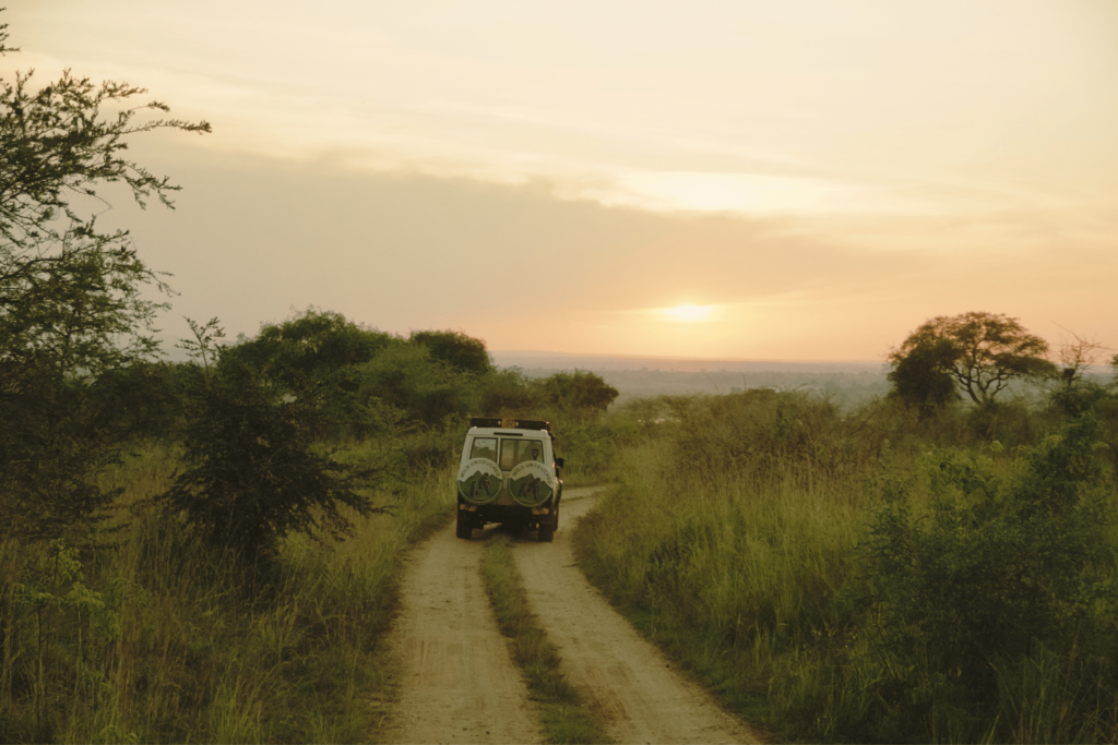 Bezdroża safari w Ugandzie game drive